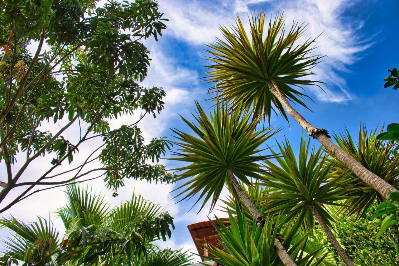 Villa Casa Lobo San Pedro La Laguna Exterior foto